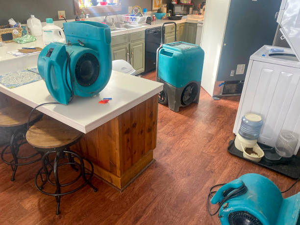Best Water damage restoration insurance claims  in Winona, MS