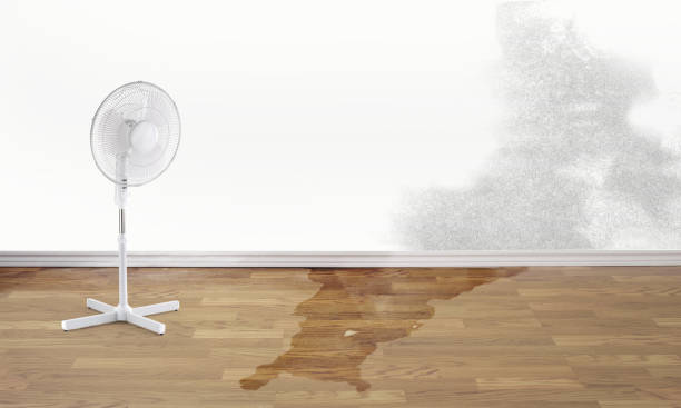 Best Emergency water damage restoration  in Winona, MS