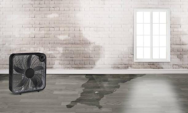 Best 24-hour water damage restoration  in Winona, MS