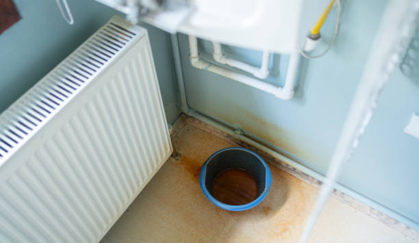 Best Water damage restoration near me  in Winona, MS